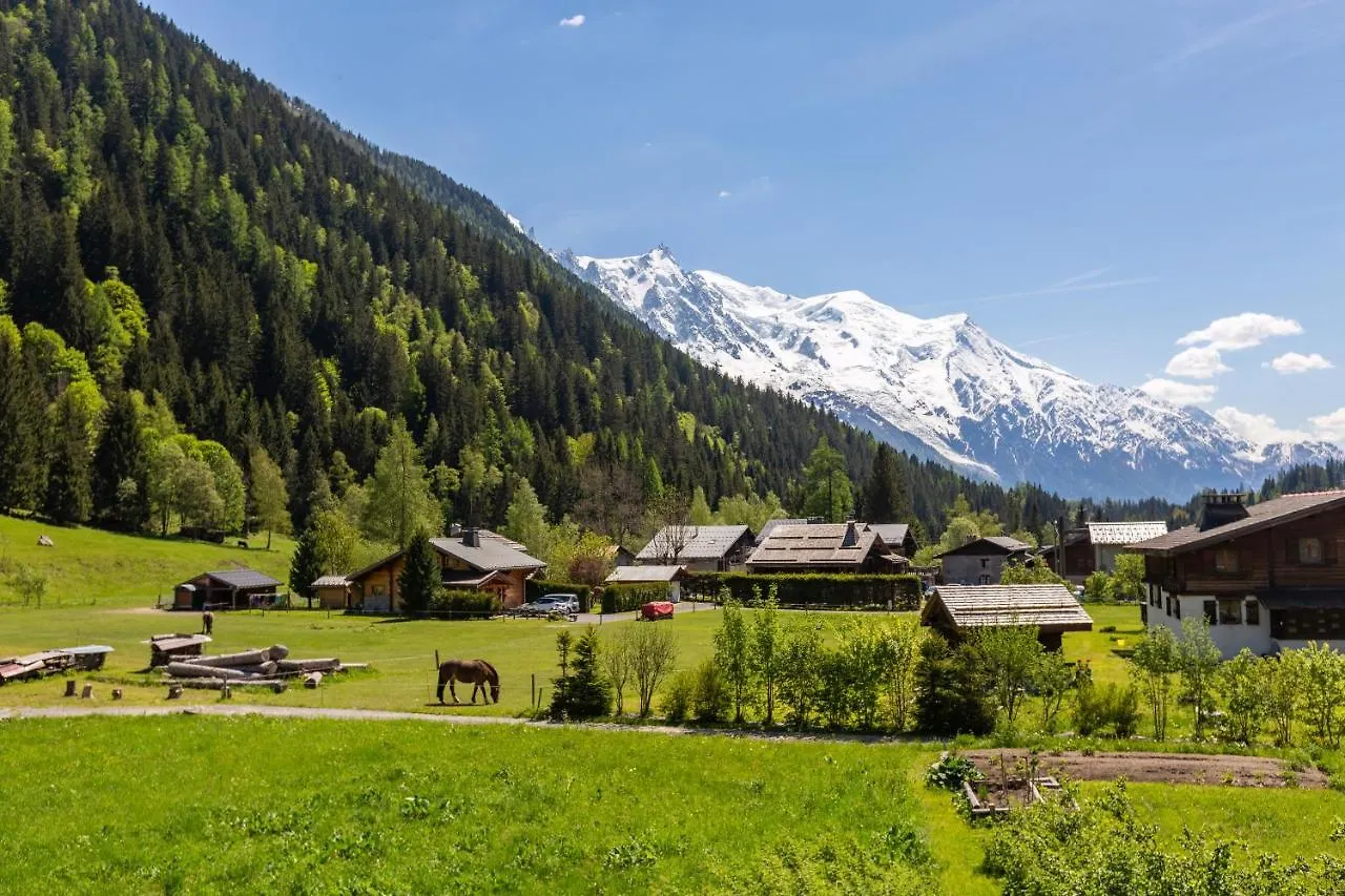 Appartement Les Cimes De Lognan 73 - Happy Rentals Chamonix